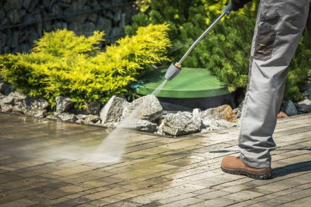 Best Winterizing Services  in Marco Island, FL