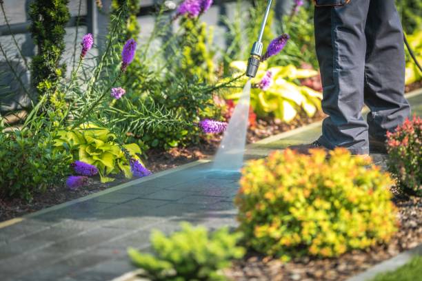 Best Dumpster Area Cleaning  in Marco Island, FL